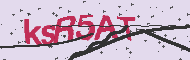 Captcha認証コード